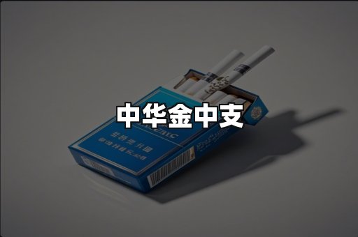 中华金中支